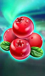 Winterberries